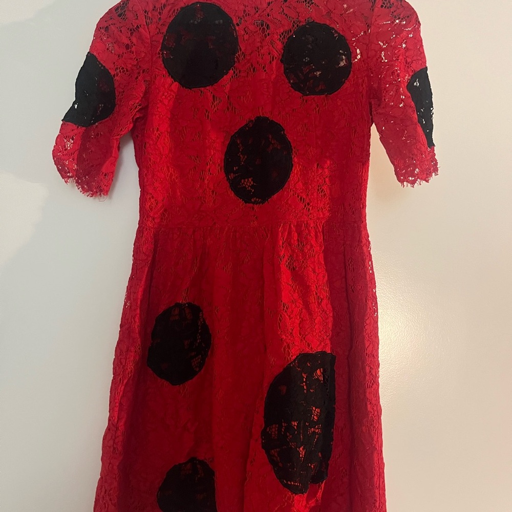 Dolce & Gabbana Red Lace Dress with Black Polka Dots